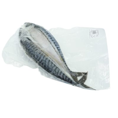 Cá Saba Nhật Bản Nguyên Con