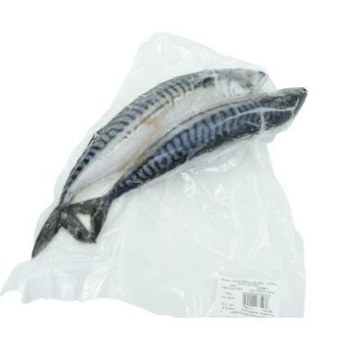 Cá Saba Nhật Bản Nguyên Con