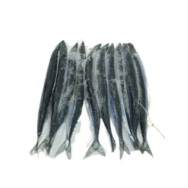 Cá Thu Đao Nguyên Con Nhật Bản