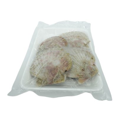 Sò Điệp Nửa Mảnh/Nguyên Mảnh Nhật Bản