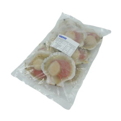 Sò Điệp Nửa Mảnh/Nguyên Mảnh Nhật Bản