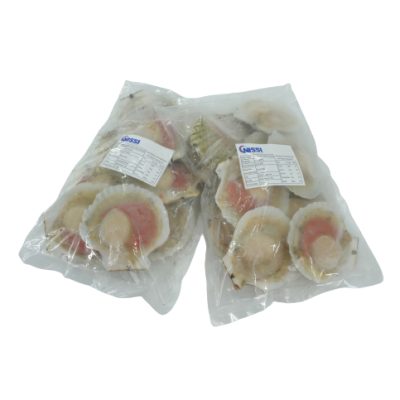 Sò Điệp Nửa Mảnh/Nguyên Mảnh Nhật Bản