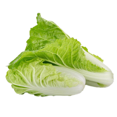 Cải thảo hữu cơ