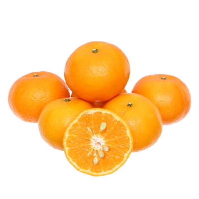 Quýt vàng